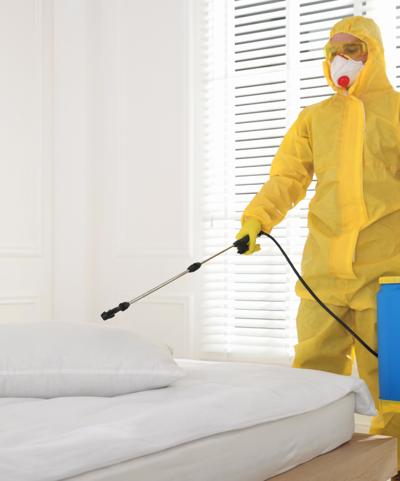 Professional Pest Control Team in Mansfield Park